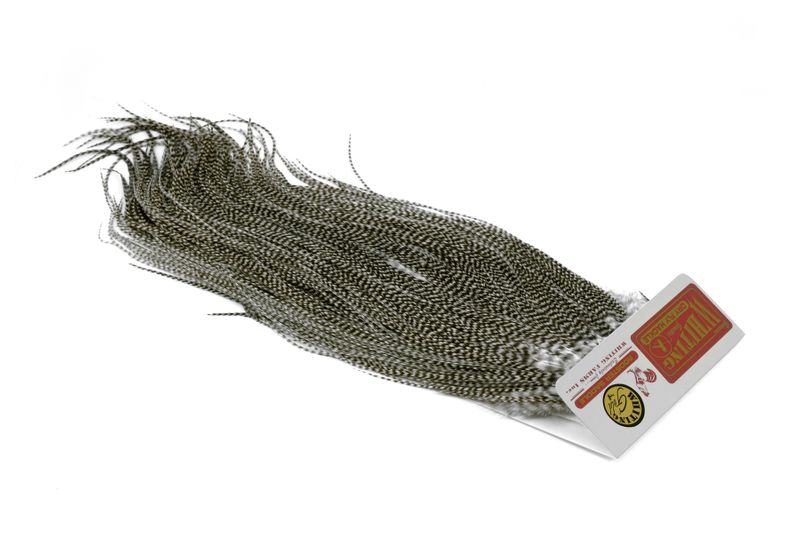 Whiting Rooster Saddle – Gold â€“ dealerweb-cms-84742ecd-76b6-4ae2-9136-a59d36ff0ad9.jpg