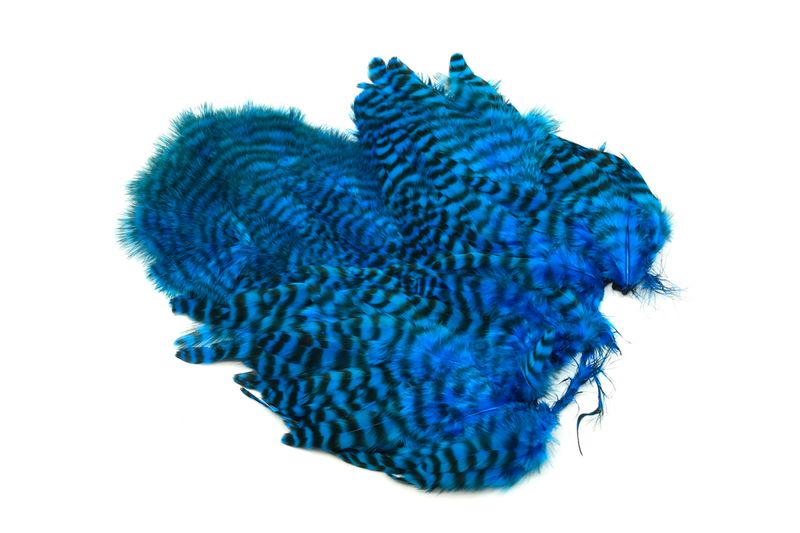 Whiting Rooster SH/C â€“ dealerweb-cms-863d0776-342a-4c38-89e8-02df22d09961.jpg