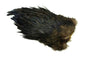 Whiting 4 B's Rooster Saddle â€“ dealerweb-cms-877883f8-6af4-4674-9e16-9c1f230f9fd9.jpg
