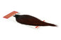 Whiting Rooster Cape – Silver â€“ dealerweb-cms-8a62a721-ce42-4b28-a859-d6eb2c830136.jpg