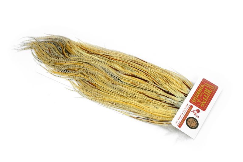 Whiting Rooster Saddle – Gold â€“ dealerweb-cms-a172714a-f425-4e87-b058-c108814f7950.jpg