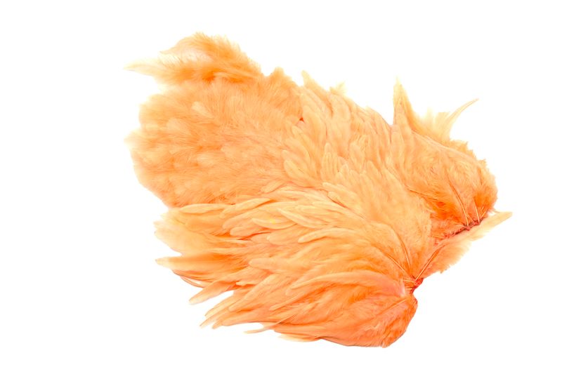 Whiting Rooster SH/C â€“ dealerweb-cms-a2632a81-4e61-42b1-9a33-bf4acbdcd1fa.jpg