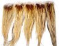 Whiting Heritage Rooster Saddle â€“ dealerweb-cms-bb3fd5a8-3f0e-4561-97c8-ac44263a5221.jpg