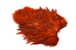 Whiting Rooster SH/C â€“ dealerweb-cms-bc31fb9d-19f4-4ef4-8495-5a9703d23d20.jpg