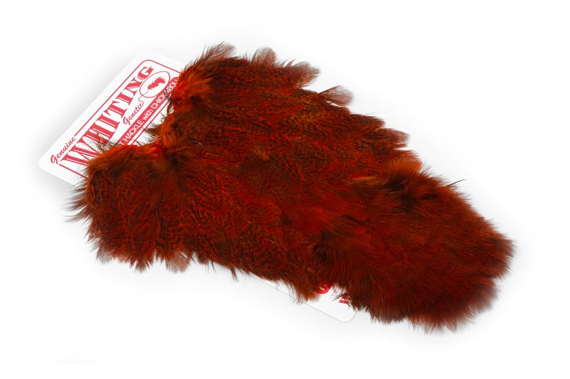 Whiting Coq De Leon Hen SH/C â€“ dealerweb-cms-bef8e11b-af6b-463d-a810-9bb827537fb8.jpg