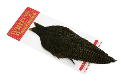 Whiting Hen Cape â€“ dealerweb-cms-c13fe36c-a441-4000-b80b-06caee369f4f.jpg