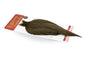 Whiting Rooster Cape – Bronze â€“ dealerweb-cms-c68b04bb-e184-4df8-8b87-ac10ace55f36.jpg