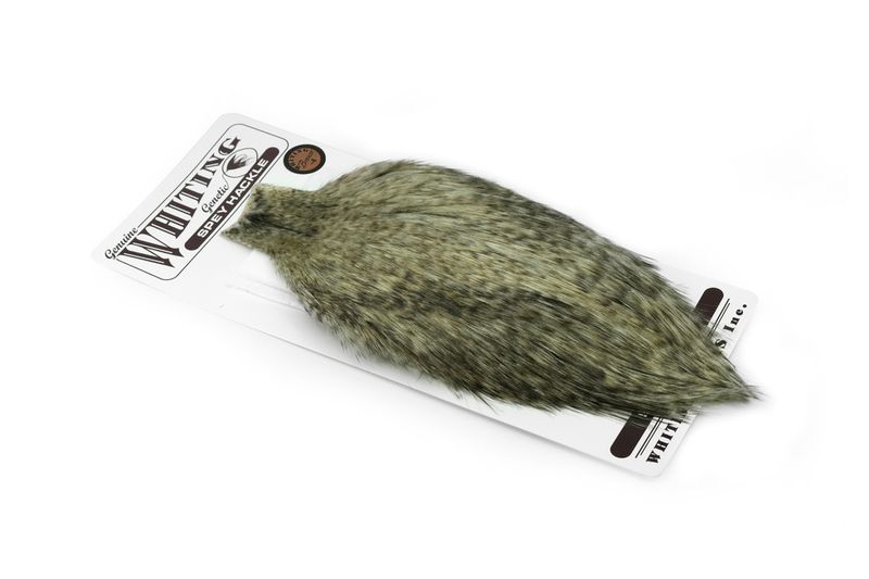 Whiting Spey Hackle Rooster Cape – Bronze â€“ dealerweb-cms-cec3d641-bafc-443e-92ea-58883083eadc.jpg