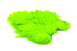 Whiting American Hen SH/C â€“ dealerweb-cms-d040506e-4033-40fd-9f4a-247684b92e6c.jpg