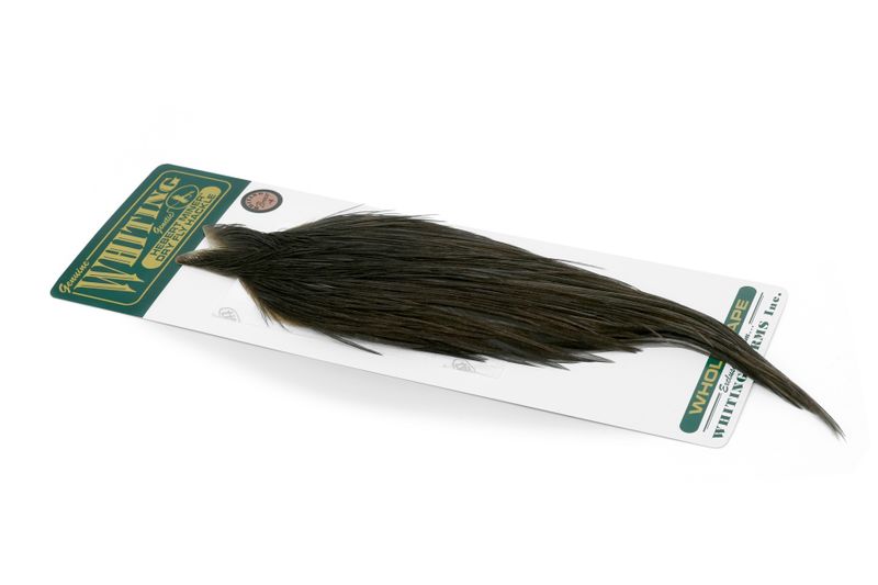 Whiting Hebert Rooster Cape – Bronze â€“ dealerweb-cms-d1922751-cdd5-419c-9429-4728ec3fb7c5.jpg