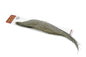Whiting Silver 1/2 Cape â€“ dealerweb-cms-d392f793-d695-426f-b059-d9baae9de1c3.jpg