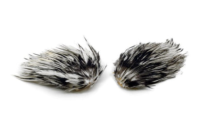 Whiting American Streamer Pack â€“ dealerweb-cms-dbda908b-ca4f-481f-b215-75d761abdb8e.jpg