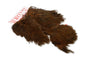 Whiting Coq De Leon Hen SH/C â€“ dealerweb-cms-e11fbd3c-ce68-46ef-949a-43a602dddaec.jpg