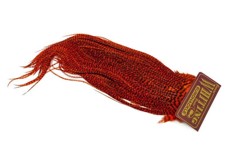 Whiting Eurohackle Saddle â€“ dealerweb-cms-e35b25bf-870a-4626-a339-2e9bd344ffe4.jpg