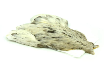 Whiting 4 B's Hen Cape â€“ dealerweb-cms-eabfe58e-5fa3-4c2a-b3b2-0e360ede827e.jpg