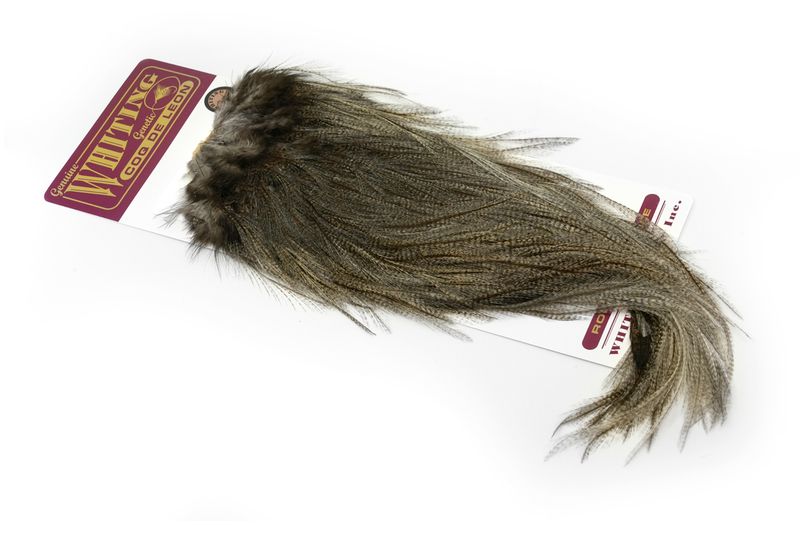 Whiting Coq de Leon Rooster Saddle – Bronze â€“ dealerweb-cms-f39ab8bb-2fe3-49ee-9550-aa465ccf9695.jpg