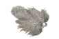 Whiting Rooster SH/C â€“ dealerweb-cms-fe401310-7541-4e4f-8087-003bed34863a.jpg
