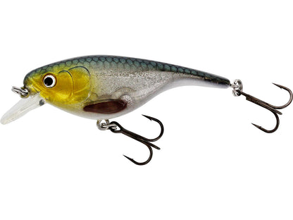 Fairpoint source 362c0fe6dd20deae9ae72663bed0a2d10a3d0a152308fbea8342993860759402