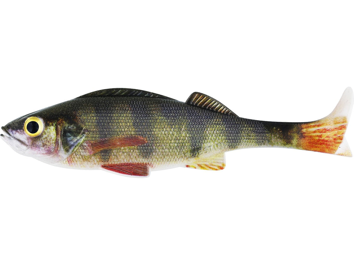 p092-550-005_large.jpg